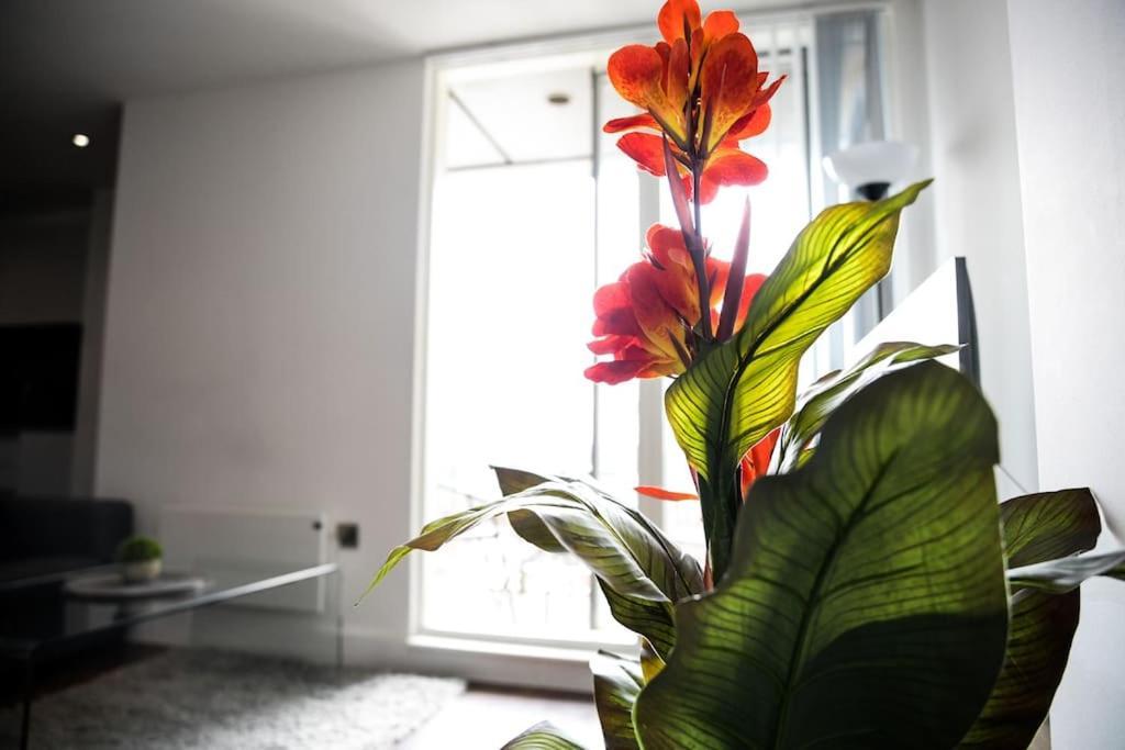 Modern 2 Bedroom Apartment - City Centre - Parking Manchester Ngoại thất bức ảnh